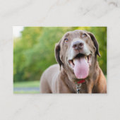 チョコレートラブラドール犬 名刺 (正面)