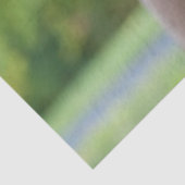 チョコレートラブラドール犬 薄葉紙 (詳細)