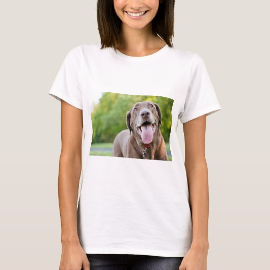 チョコレートラブラドール犬 Tシャツ (正面)