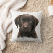 チョコレートラブラドール クッション (ブランケット)