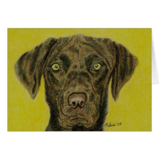 チョコレートラブラドール- Hershey