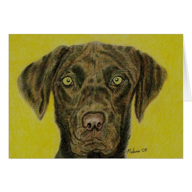 チョコレートラブラドール- Hershey (正面横)