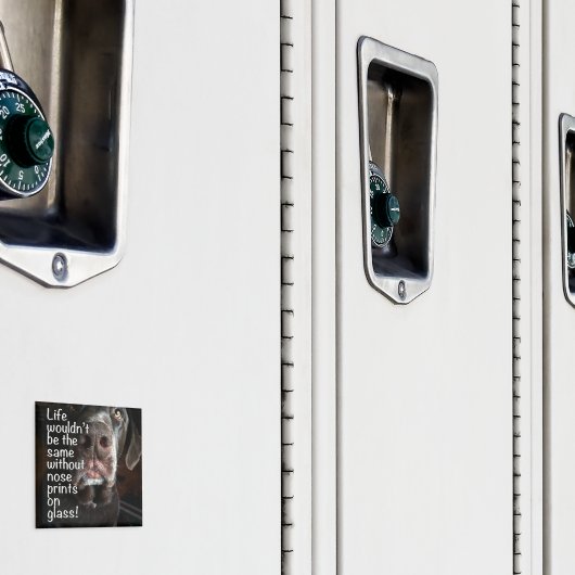 チョコレートラボの鼻のクローズアップ写真 マグネット (インサイチュ (ロッカー))