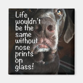 チョコレートラボの鼻のクローズアップ写真 マグネット (正面)