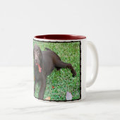 チョコレートラボコーヒーマグ ツートーンマグカップ (正面右)