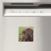 チョコレートラボップマグネット マグネット (インサイチュ (食洗機))