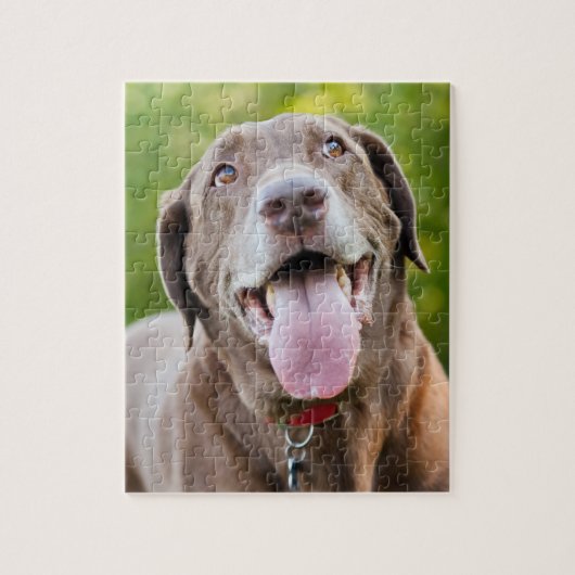 チョコレートラボドッグ ジグソーパズル (縦)