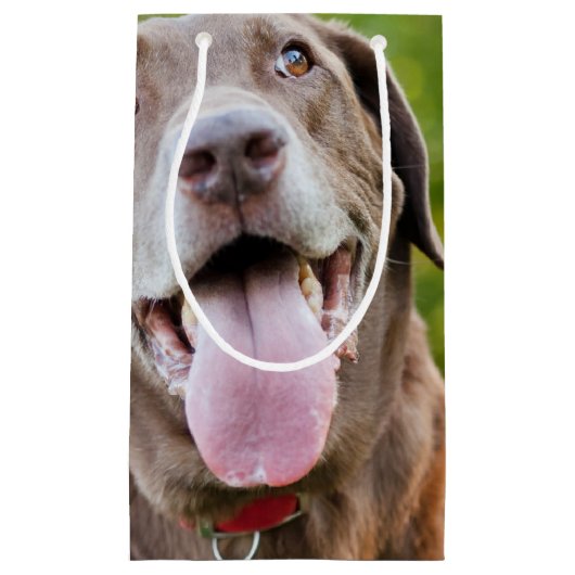 チョコレートラボドッグ スモールペーパーバッグ (正面)