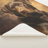 チョコレートラボパパ シェルパブランケット (3/4)