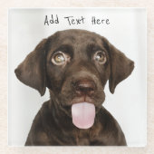 チョコレートラボパピー ガラスコースター (正面)