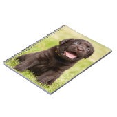 チョコレートラボパピー ノートブック (左側)