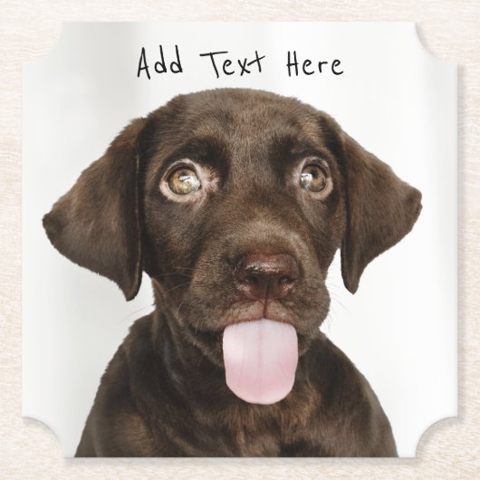 チョコレートラボパピー ペーパーコースター (正面)
