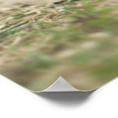 チョコレートラボパピー ポスター (角)