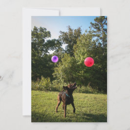 チョコレートラボパーティの招待状 招待状