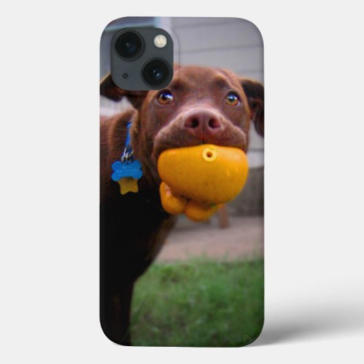 チョコレートラボピットボールで子犬 Case-Mate iPhoneケース (裏面)