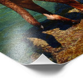 チョコレートラボピットミックスドッグウェディング2 フォトプリント (角)