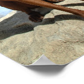 チョコレートラボピットミックスドッグポートレート6 ポスター (角)