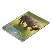 チョコレートラボピットミックスドッグ探し魚 ノートブック (左側)