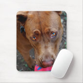 チョコレートラボピットミックス犬とボール2 マウスパッド (マウス)