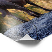 チョコレートラボピットミックス犬の穏やかな フォトプリント (角)