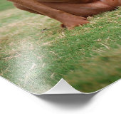 チョコレートラボピットミックス犬の笑顔2 フォトプリント            (角)