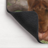 チョコレートラボピットミックス犬の笑顔2 マウスパッド (コーナー)