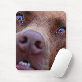 チョコレートラボピットミックス犬の鼻 マウスパッド (マウス)