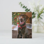 チョコレートラボメリークリスマスポストカード シーズンポストカード (スタンド正面)