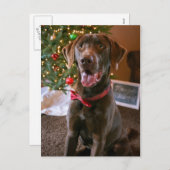 チョコレートラボメリークリスマスポストカード シーズンポストカード (正面/裏面)