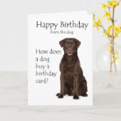 チョコレートラボ誕生日カード カード (黄色い花)