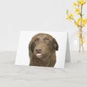 チョコレートラボ誕生日カード カード (黄色い花)