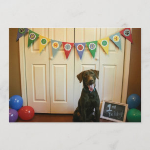 チョコレートラボ1st誕生日パーティの招待状 招待状
