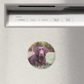 チョコレートラボ マグネット (インサイチュ (食洗機))