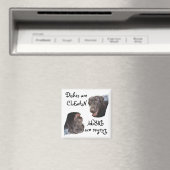 チョコレートラボ マグネット (インサイチュ (食洗機))