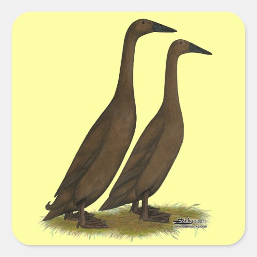 チョコレートランナーダックス スクエアシール (正面)