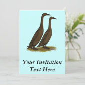 チョコレートランナーダックス 招待状 (スタンド正面)