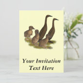 チョコレートランナーダックファミリー 招待状 (スタンド正面)