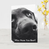 チョコレートラ気にボアおよび懸念グリーティングカード カード (黄色い花)