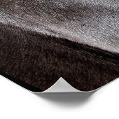 チョコレートロッキーマウンテンホース ポスター (角)