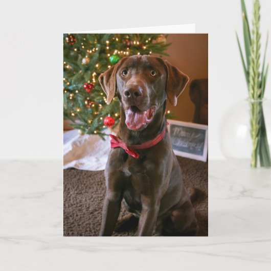 チョコレート実験室のクリスマスカード シーズンカード (正面)