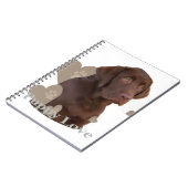 チョコレート実験室の初恋 ノートブック (左側)