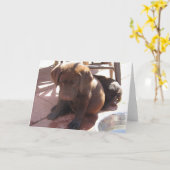 チョコレート実験室の子犬 カード (黄色い花)