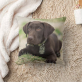 チョコレート実験室の子犬 クッション (ブランケット)