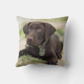 チョコレート実験室の子犬 クッション (裏面)