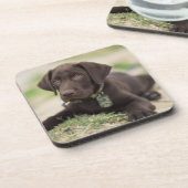 チョコレート実験室の子犬 コースター (左側)