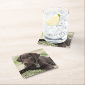 チョコレート実験室の子犬 スクエアペーパーコースター (インサイチュ)