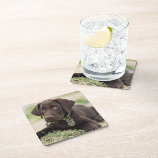 チョコレート実験室の子犬 スクエアペーパーコースター (インサイチュ)
