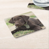 チョコレート実験室の子犬 スクエアペーパーコースター (アングル)
