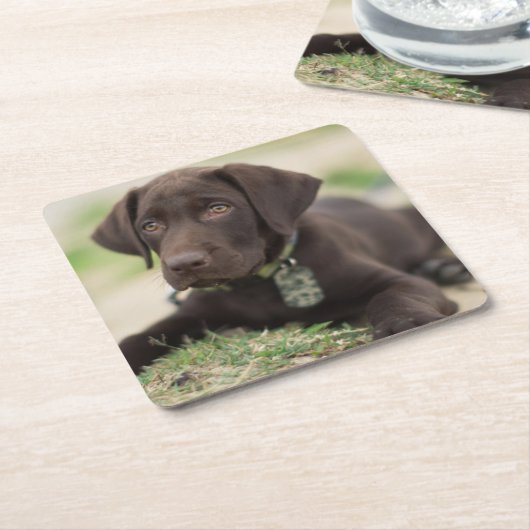 チョコレート実験室の子犬 スクエアペーパーコースター (アングル)