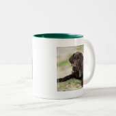 チョコレート実験室の子犬 ツートーンマグカップ (正面右)